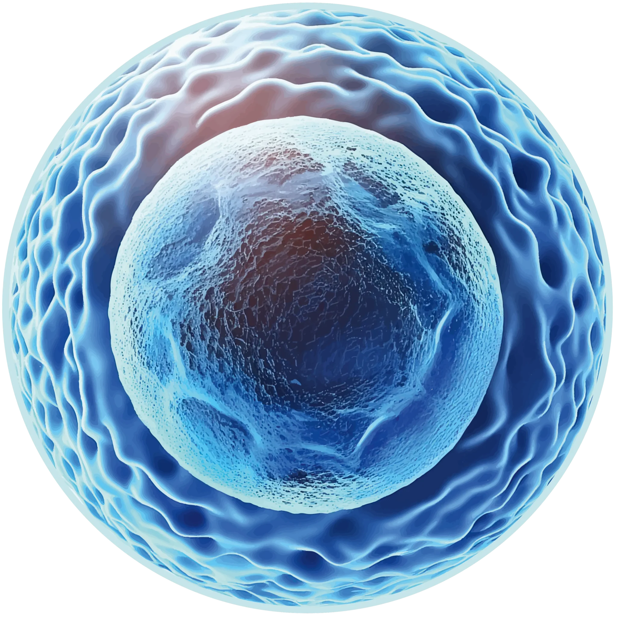 Gesundheit beginnt in der Zelle mit MBST im Medical Center München Gesundheit beginnt in der Zelle mit MBST im Medical Center München